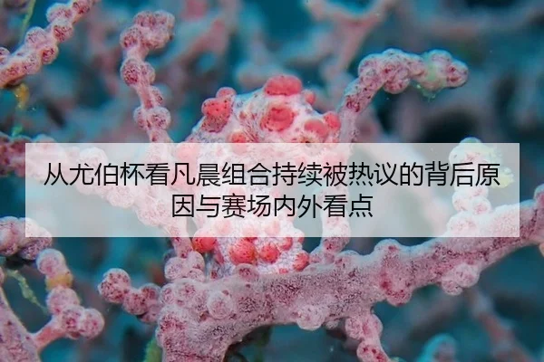 从尤伯杯看凡晨组合持续被热议的背后原因与赛场内外看点
